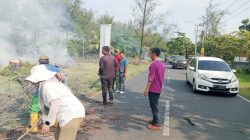 Pemkot Bengkulu Mulai Pangkas dan Rapikan Pohon di Wisata Pantai Panjang